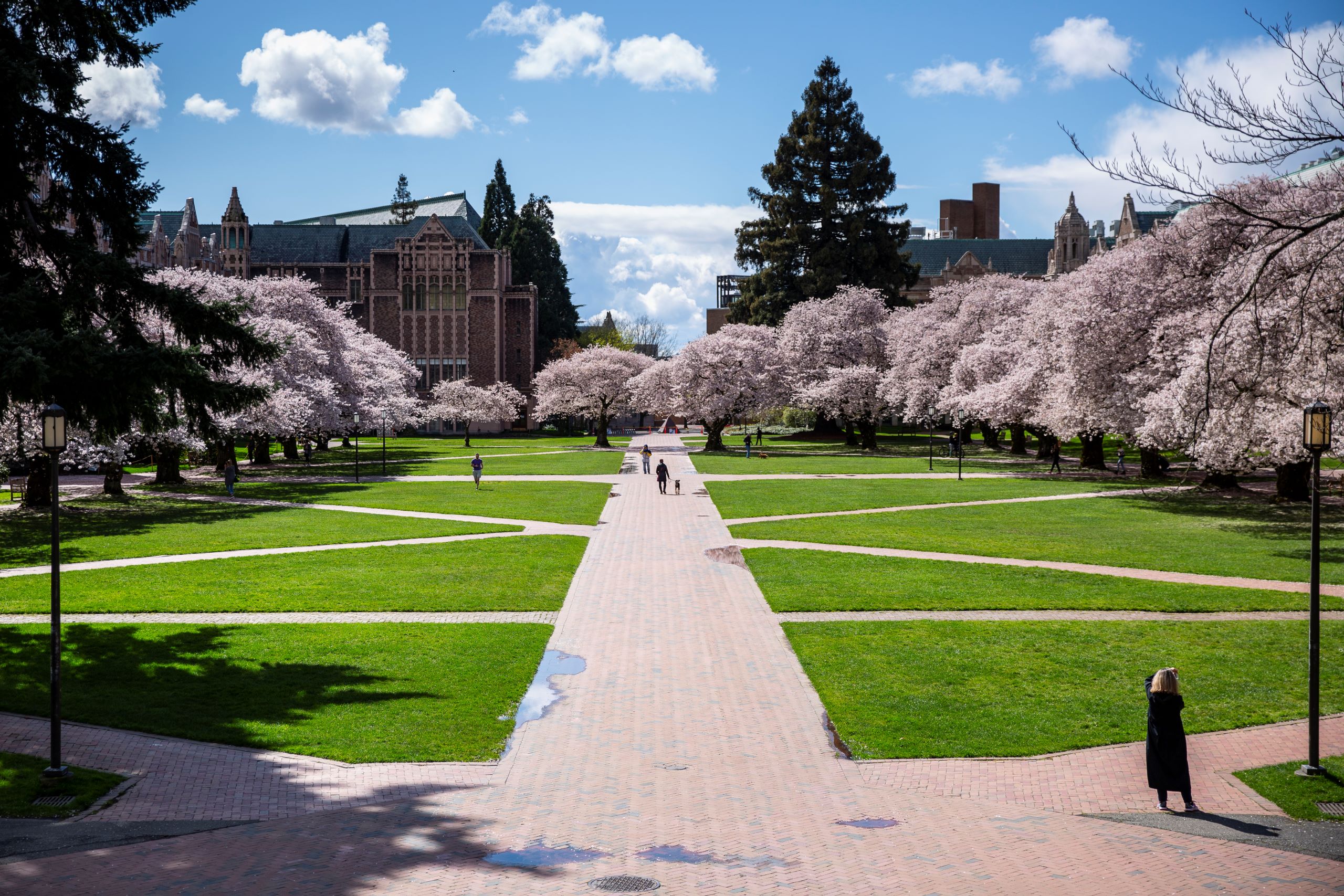 The Quad